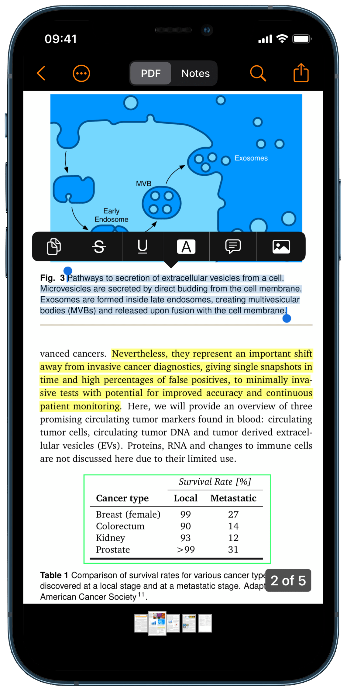 How to Highlight Text in a PDF on iPhone - Highlights