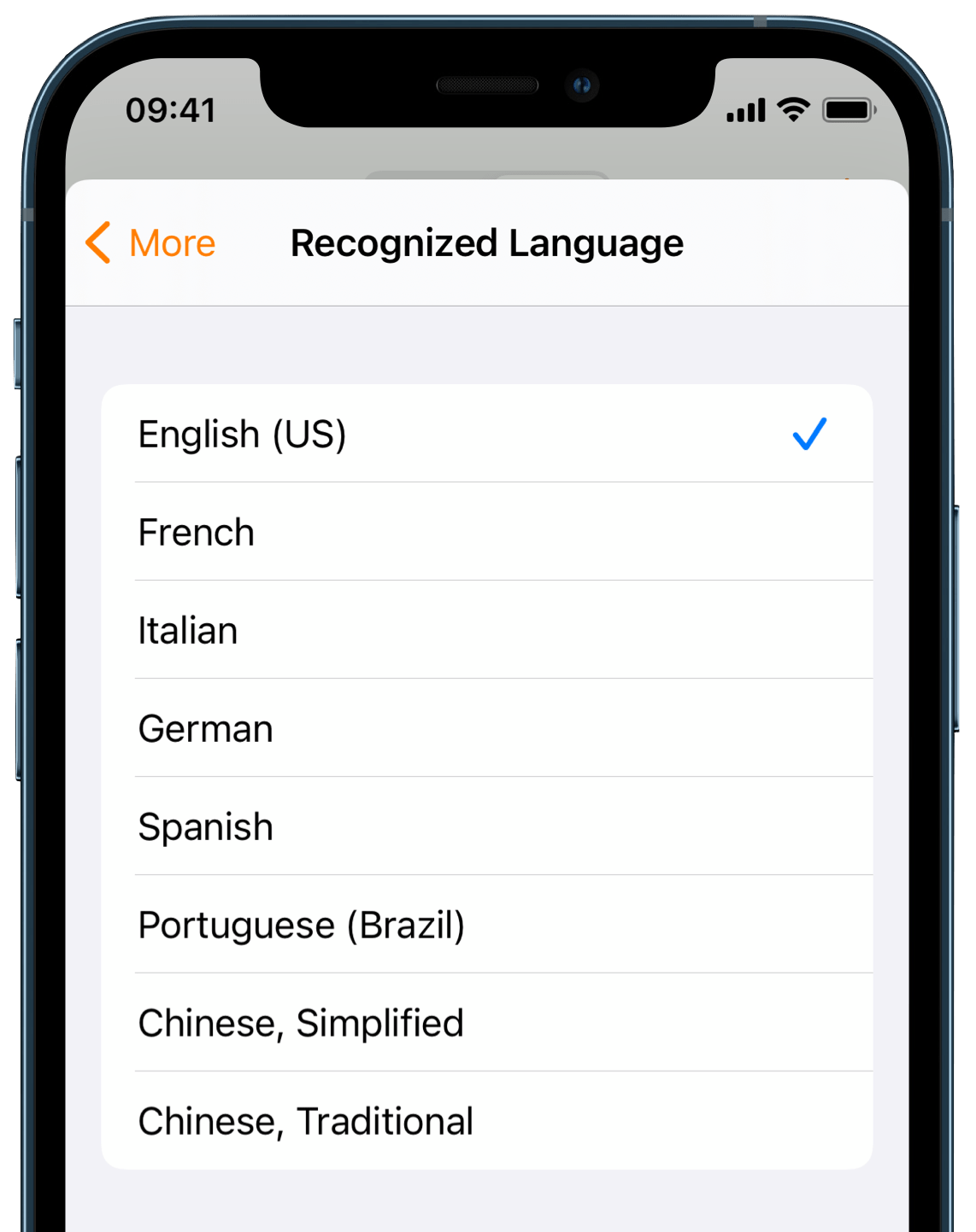 Recognized language settings screen