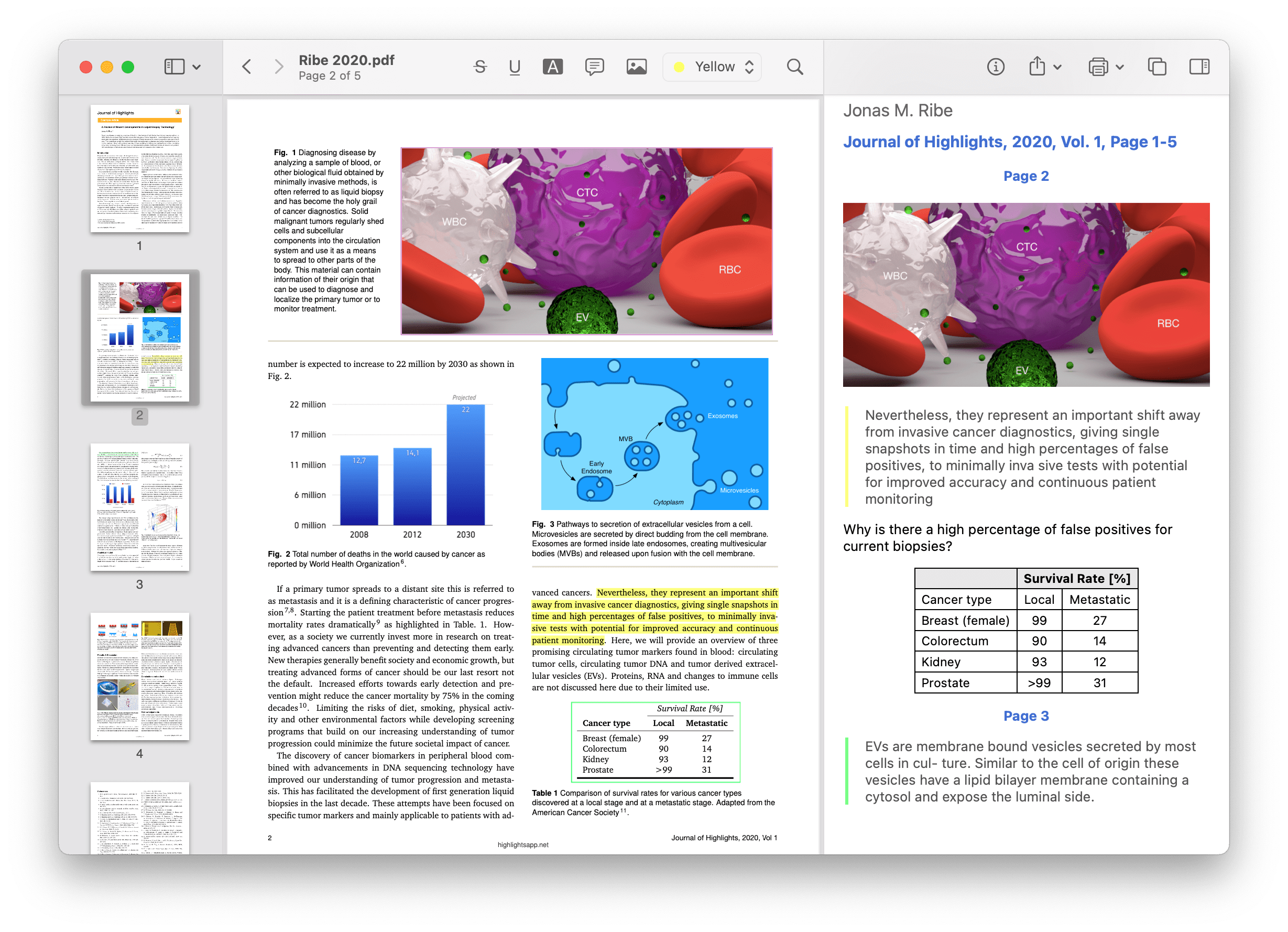 Highlights document window for macOS 11 Big Sur