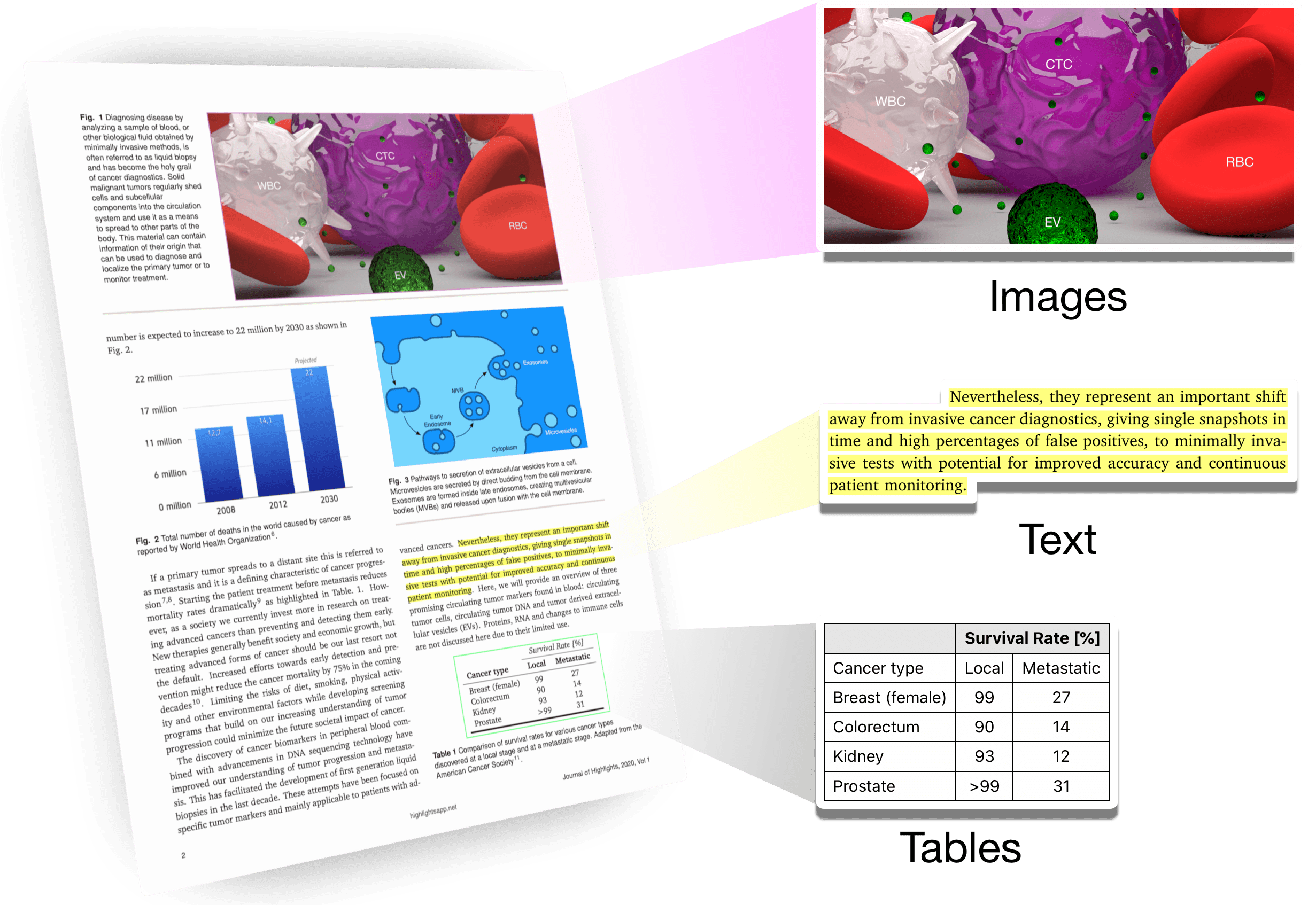 A PDF page from a scientific article with yellow highlighted text, an image and a table beamed out into individual elements.